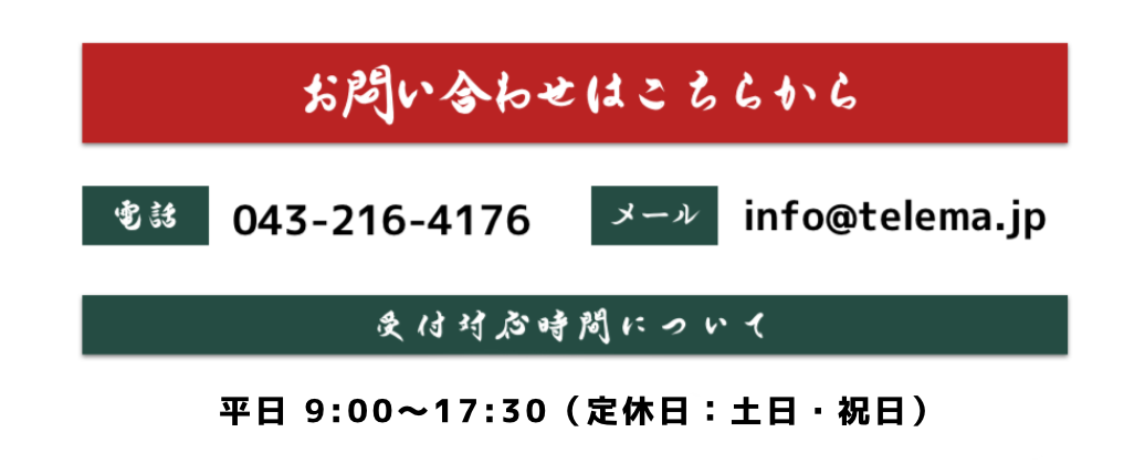 猫とカメラ